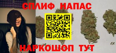 крисы Чебаркуль