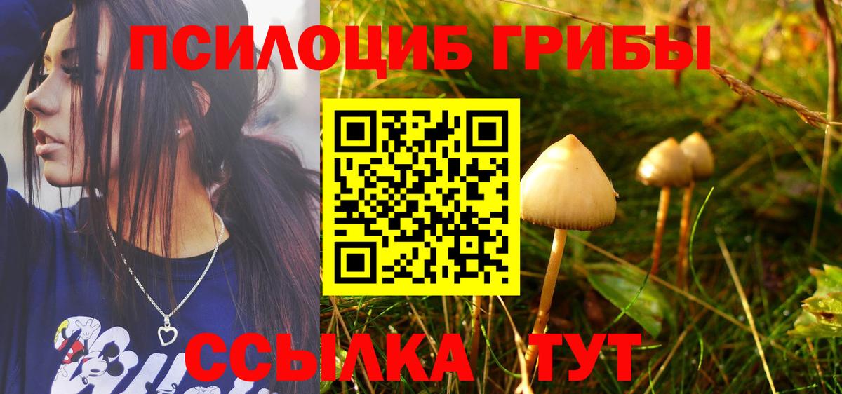 Галлюциногенные грибы Magic Shrooms Новоуральск