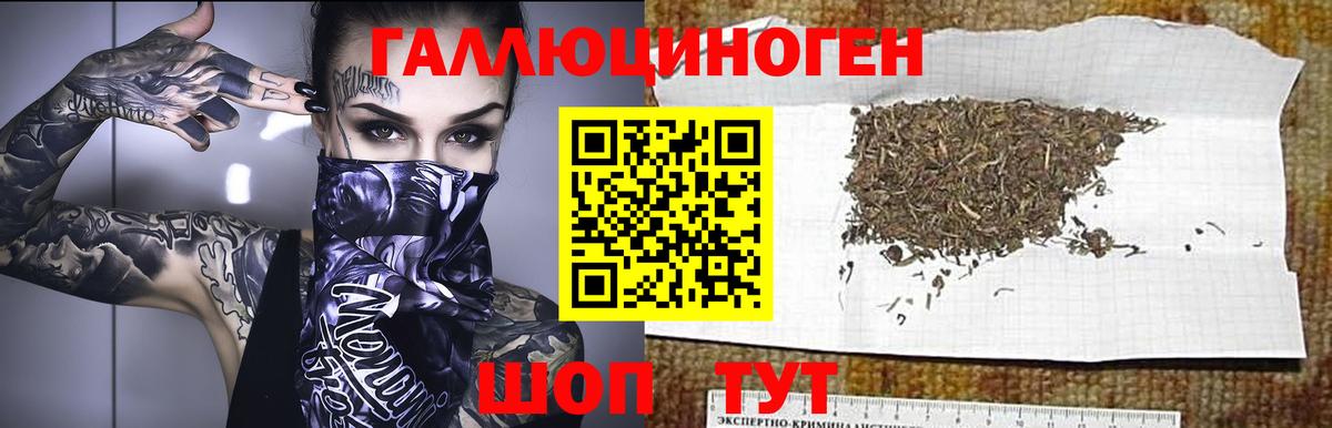 Псилоцибиновые грибы Psilocybine cubensis  Вход с VPN  Новоуральск  Галлюциногенные грибы прущие грибы 
